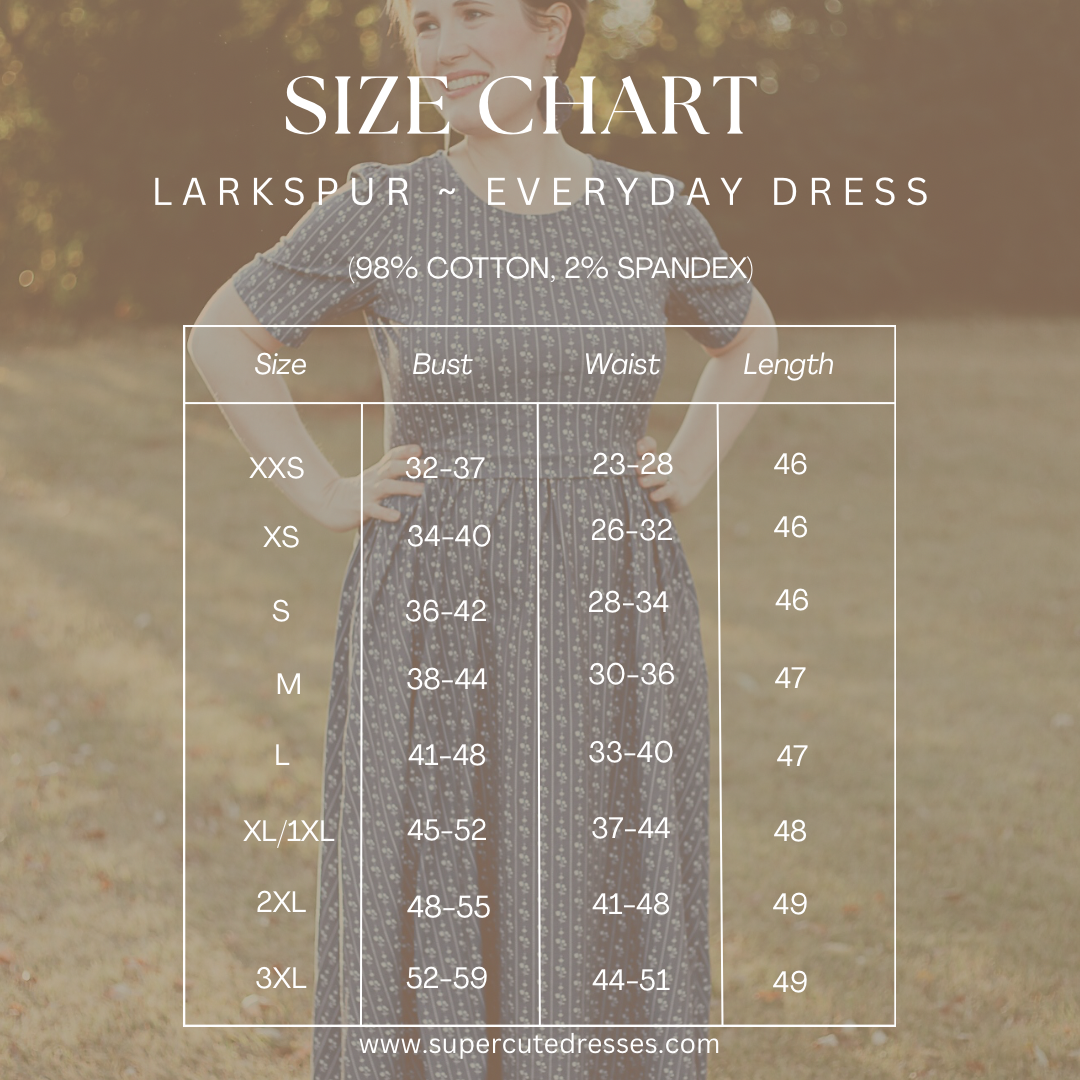 Larkspur ~ Everyday Dress — gallery