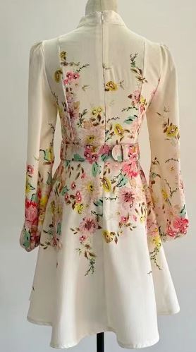 Button-Down Detail Printed Mini Dress