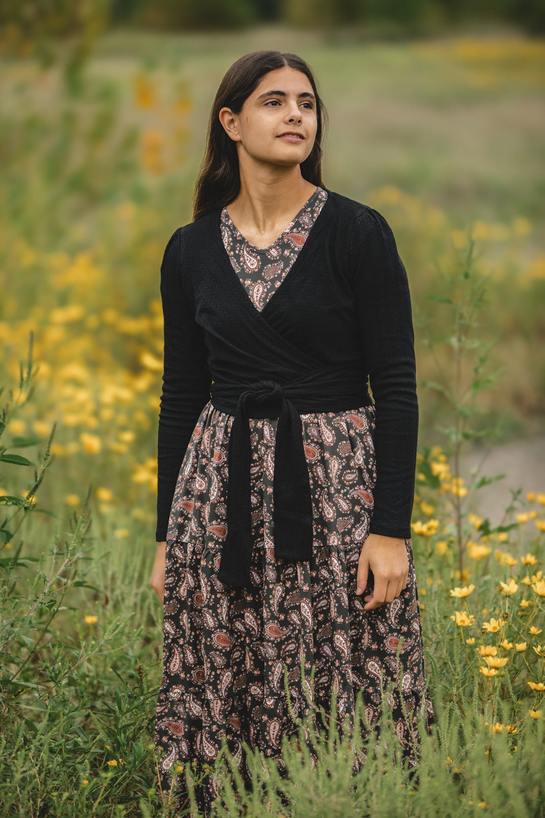 Pine & Paisley ~ Storybook Dress — gallery