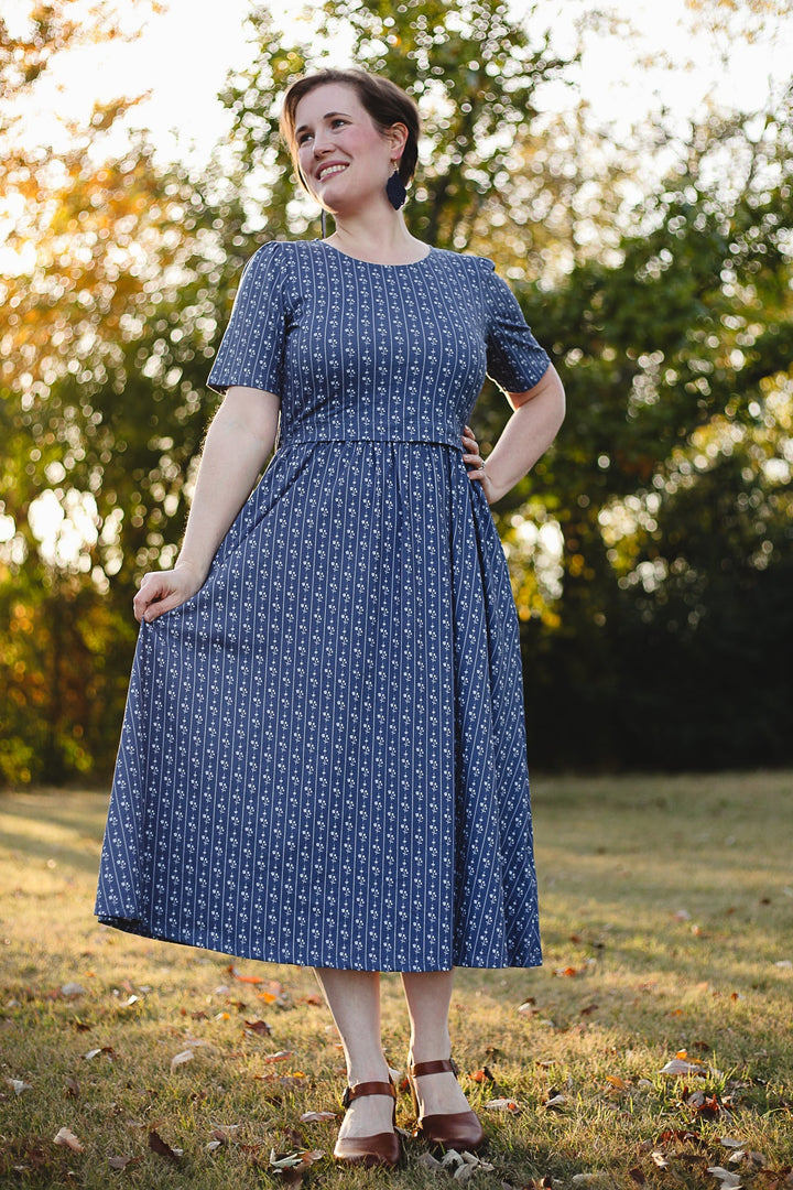 Larkspur ~ Everyday Dress — gallery