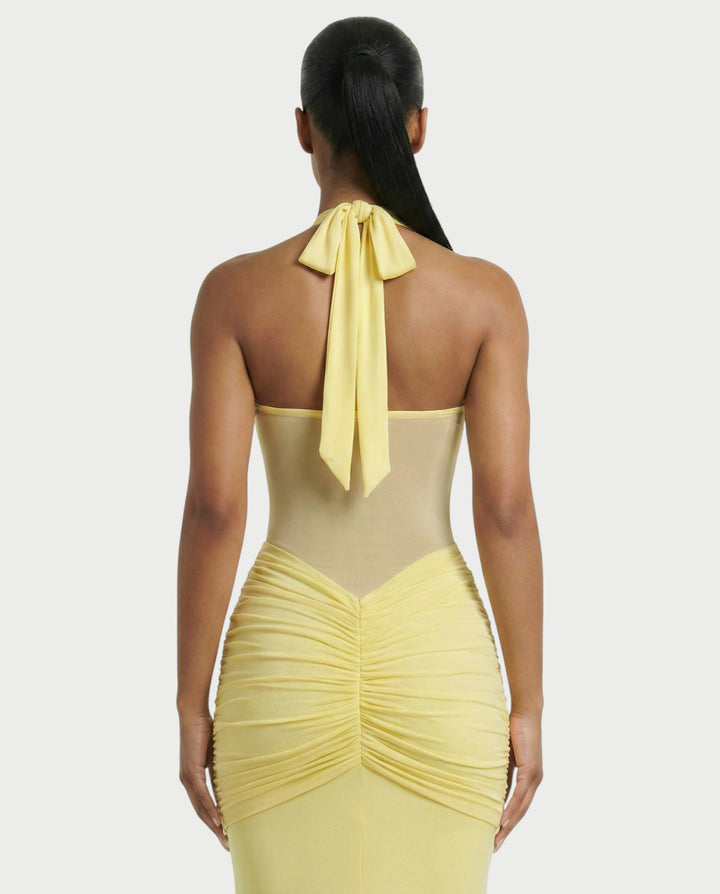 Alleya Halterneck Ruched Mesh Panel Maxi Dress for Women - gallery