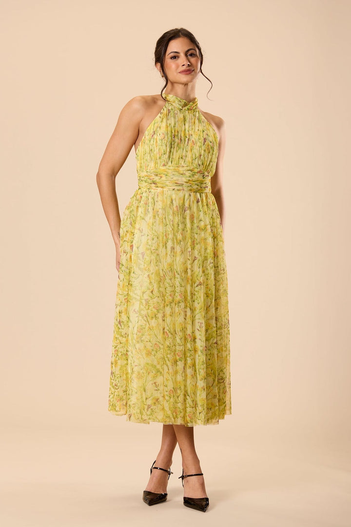 Vera Tulle Midi Dress in Yellow Floral for Women